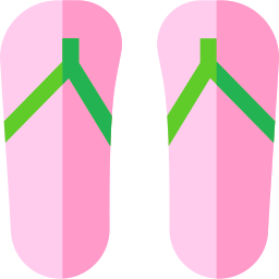 flip flops icon