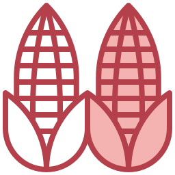 Corn icon