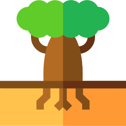 Baobab icon