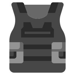 Armour icon