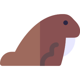 walrus icoon