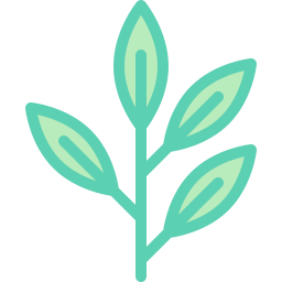 Eucalyptus icon