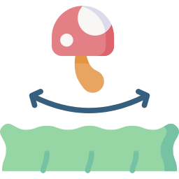 Anti fungus icon
