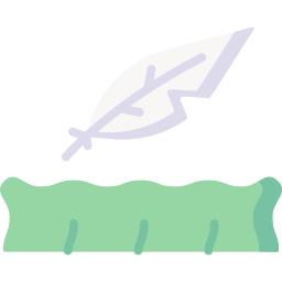 Feather icon