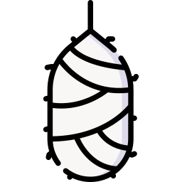 Silk cocoon icon
