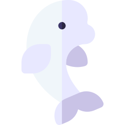 beluga icoon