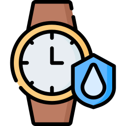 Wristwatch icon