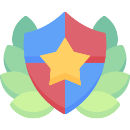 Shield icon