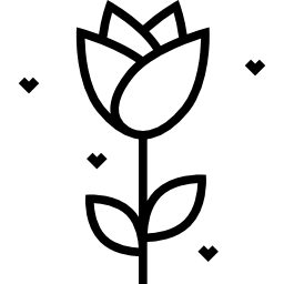 Rose icon