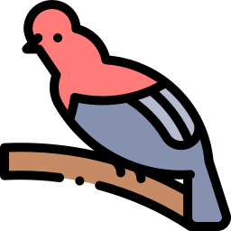 Cock of the rock icon
