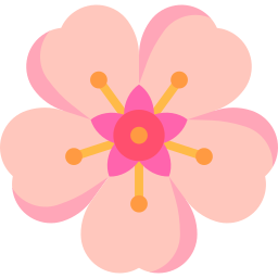 桜の花 icon