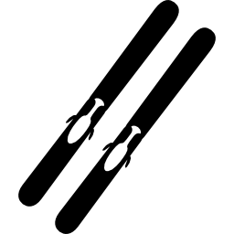 Skiing equipment icon