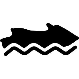 물에 제트 보트 타기 icon