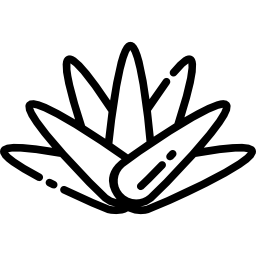 agave icona