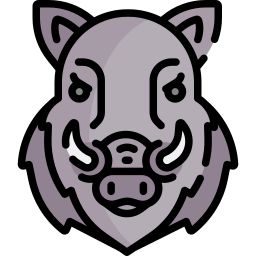 Wild boar icon