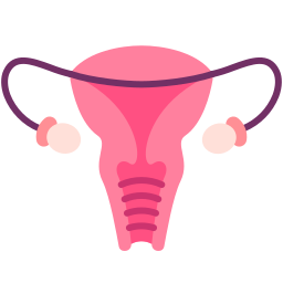 Ovary icon