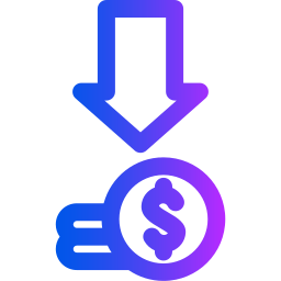 Expense icon