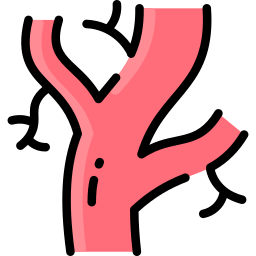 動脈 icon
