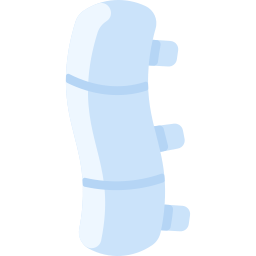 espina dorsal icono