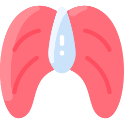 diafragma icoon