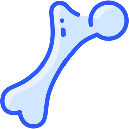 femur icon