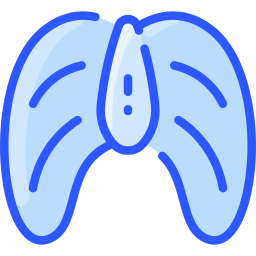 diafragma icoon