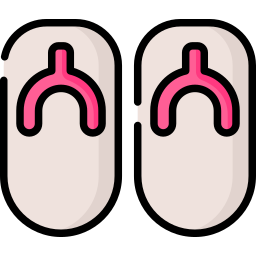 Sandal icon