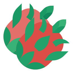 drachenfrucht icon