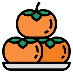 persimmon icon