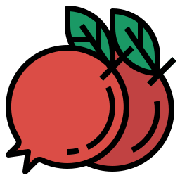 granatapfel icon