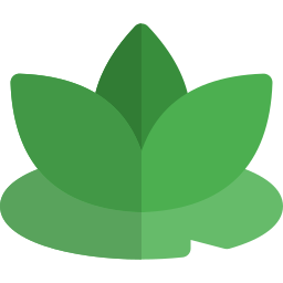 Lotus icon