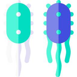 bactérie Icône