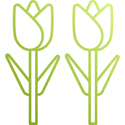 tulpen icon