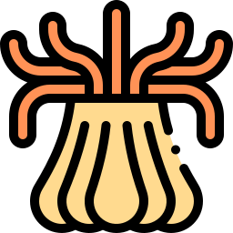 anemone di mare icona