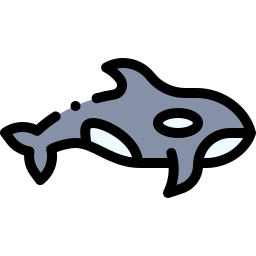 Orca icon