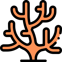 Coral icon