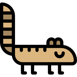 Coati icon
