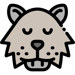 wolverine icoon