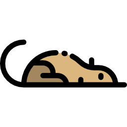 トガリネズミ icon