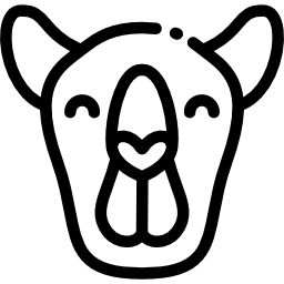 Camel icon