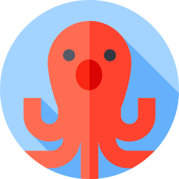 octopus icoon