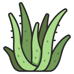 aloes ikona