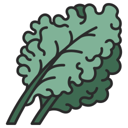 Kale icon