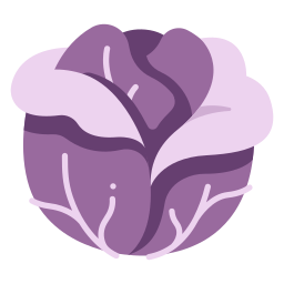 Red cabbage icon