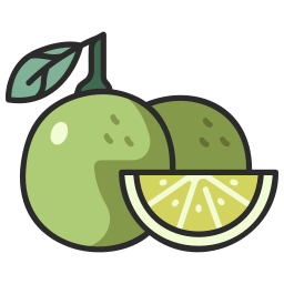 limette icon