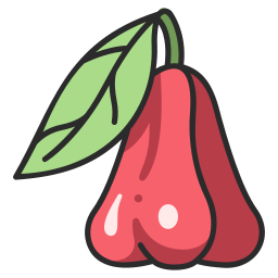 Rose apple icon