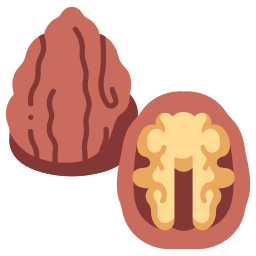 грецкий орех иконка