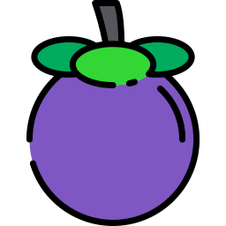 Mangosteen icon