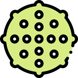 Massage ball icon