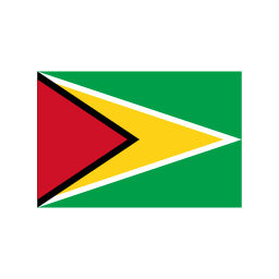 Guyana icon